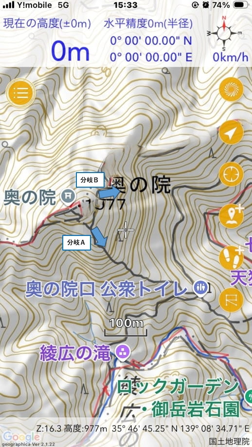 分岐